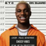 Cheesy Vibes - BTC & ON GUARD